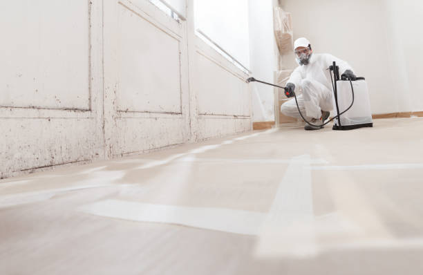 24/7 Emergency Mold Removal experts in Freeburg, IL